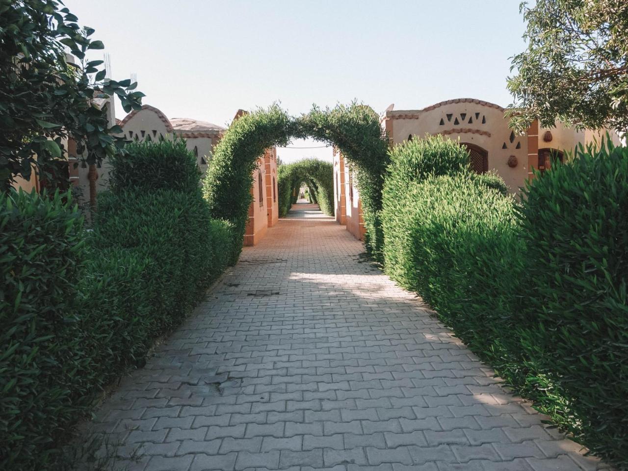 Al Baeirat Hotel Louxor Extérieur photo